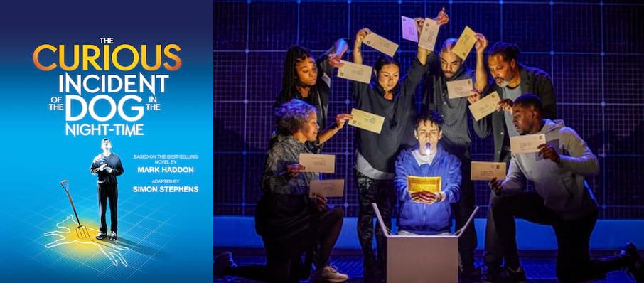 The Curious Incident of the Dog in the Night-Time at Liverpool Empire Theatre
